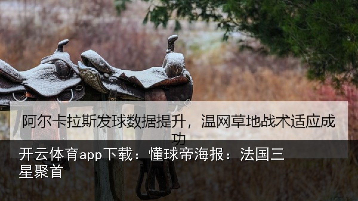 开云体育app下载:懂球相关情况首