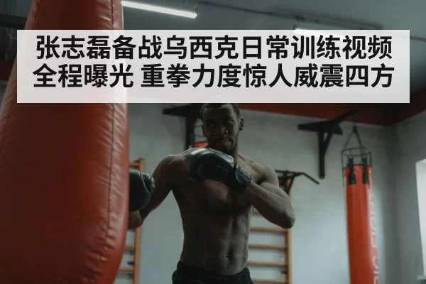 张志磊备战乌西克日常训练视频全程曝光 重拳力度惊人威震四方