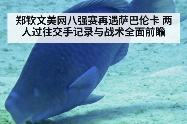 郑钦文美网八强赛再遇萨巴伦卡 两人过往交手记录与战术全面前瞻